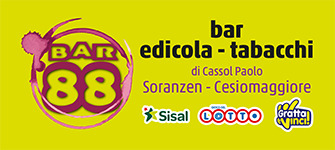 Logo 29