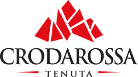 Logo 11